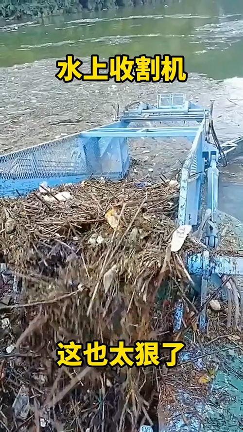 国产收割机搞笑视频大全,笑料横生！国产收割机搞笑视频大盘点