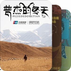 国产高分短片视频,国产短片绽放魅力