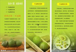 国产牛油果宣传视频,绿色健康新选择