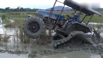 国产拖拉机拉猪视频