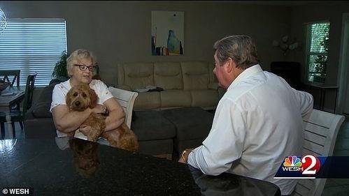 国产业余老太性视频,揭秘老年生活新风尚