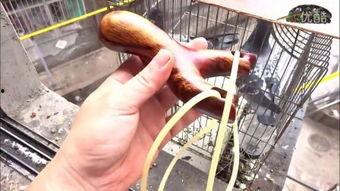 国产夫妻卖弹弓视频大全,趣味生活，亲子互动新风尚